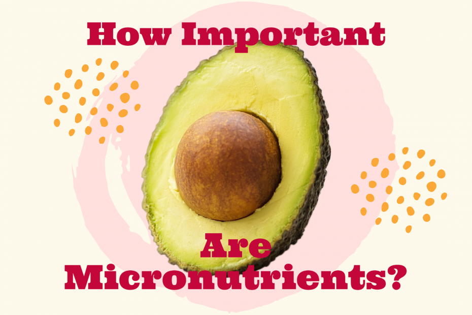 how important are micronutrients