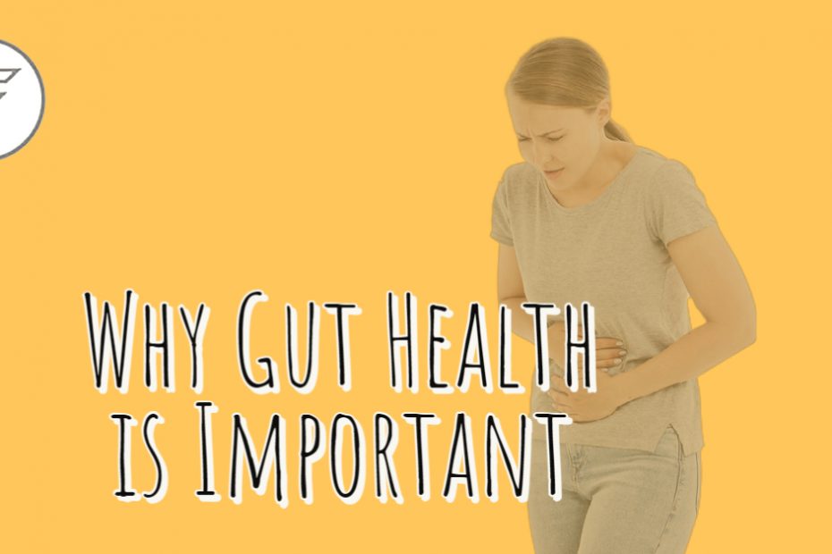 gut health is important